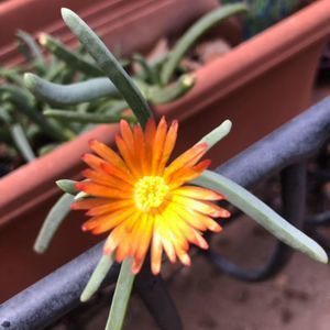 Meet your Posher, Raquel